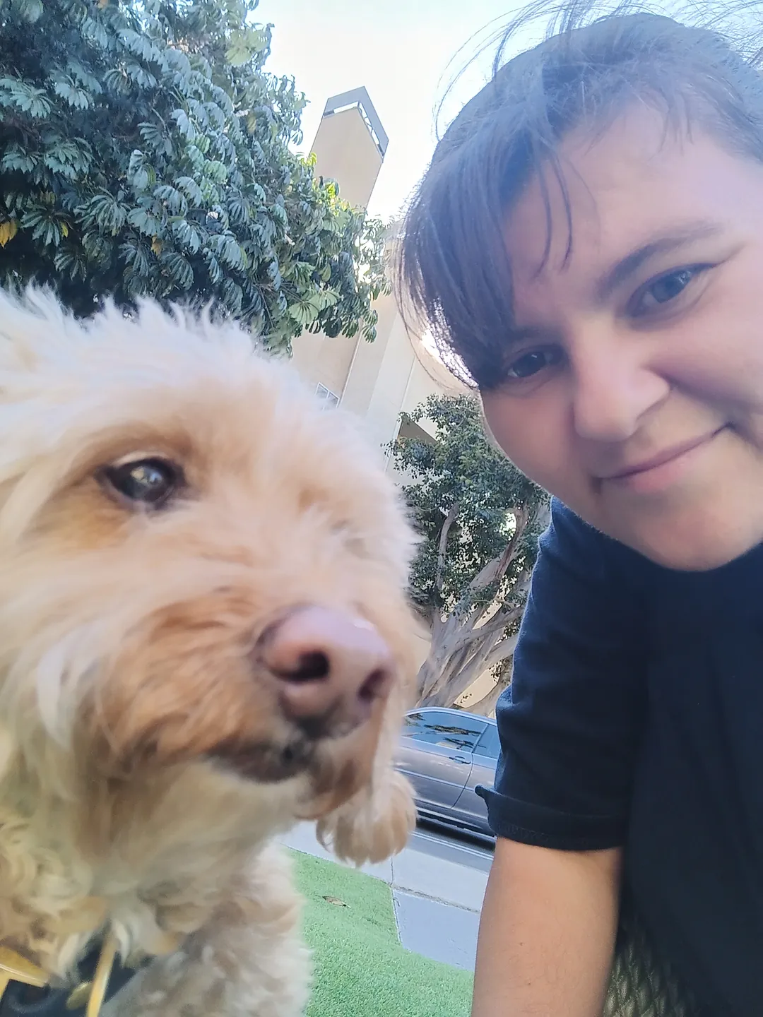 Curly-coated tan dog beside a smiling caregiver
