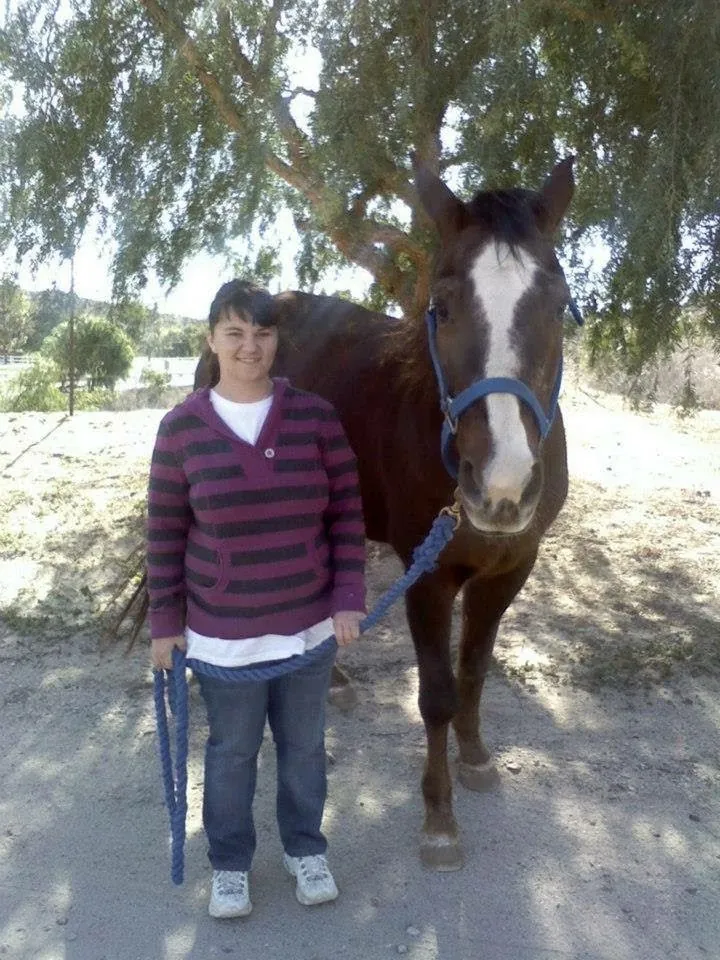 Tall bay horse with a white facial marking beside a caregiver