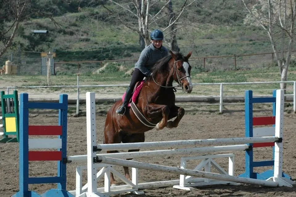Horse and rider going over a jump in an arena