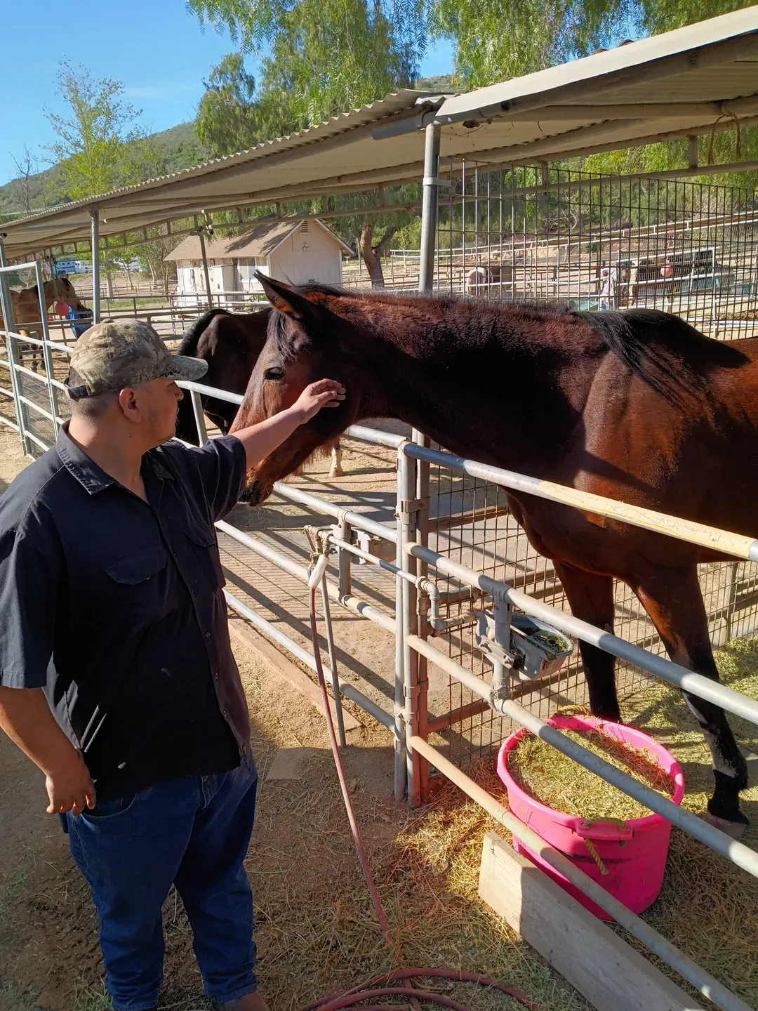 Caregiver beside a horse leaning over a stable gate